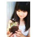  house bamboo. подарок симпатичный суккулентное растение. подарок новое здание праздник день рождения праздник открытие праздник свадьба праздник 