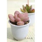 商品画像3