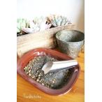 多肉植物専用オリジナルブレンド培養...