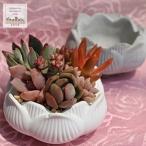 ϡȭ ȭ ƫȭ ĳȭ ¿ʱȭ