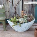 多肉植物 寄せ植え 完成品 陶器鉢 植え込み済み そのまま飾れる インテリア 観葉植物 おしゃれ 多肉 ギフト 母の日 プレゼント お祝い 記念日