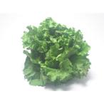  иметь машина lettuce 1 шар 