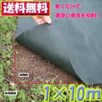 防草シート 1×10m 園芸 雑草防止シート 除草剤 高透水 敷くだけ カンタン