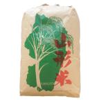令和6年産 精米無料 山形県産 ヒメノモチ (もち米) 1等 玄米 30kg 送料込み