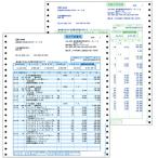 弥生　請求明細書　連続用紙　９_１／２×１１インチ　２枚複写　３３４２０４　１箱（５００組）