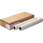 キヤノン　スタンダード普通紙２　ＬＦＭ−ＰＰＳ２／Ａ１／６４　Ａ１ロール　５９４ｍｍ×５０ｍ　８７３８Ｂ００５　１箱（２本）