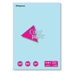 長門屋商店　Ｃｏｌｏｒ　Ｐａｐｅｒ　Ａ４　中厚口　空　ナ−３２１２　１冊（１００枚）