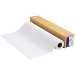 エプソン　プロフェッショナルフォ