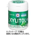  Lotte жевательная резинка с ксилитом Family бутылка lime мята 133g