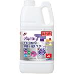 ライオン　トップ　ＮＡＮＯＸ　衣類・布製品の除菌・消臭スプレー　ミンティーグリーンの香り　業務用　２Ｌ　１本