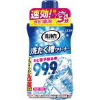 エステー　洗浄力　洗たく槽クリーナー　５５０ｇ　１本