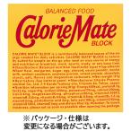 大塚製薬 カロリーメイトブロック チョコレート味 20g/本 1セット(40本:4本×10箱)