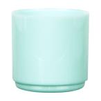 シヤチハタ　ネーム９　部品　印面キャップ　ペールグリーン　ＸＬ−９／Ｃ４ＰＣ　１個（お取寄せ品)