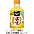 ショッピングはちみつ コカ・コーラ　ホット専用　ミニッツメイド　はちみつゆず　２８０ｍＬ　ペットボトル　４８本（２４本×２ケース）