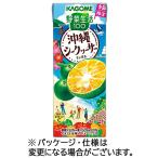 カゴメ 野菜生活100 沖縄シークヮーサーミックス 195mL 紙パック 1セット(48本:24本×2ケース) (お取寄せ品)