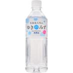 ロジネットジャパン 北海道大雪山ゆきのみず 550ml ペットボトル 1セット(96本:24本×4ケース)