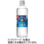 ショッピング炭酸水 ポッカサッポロ　おいしい炭酸水　６００ｍｌ　ペットボトル　１ケース（２４本）