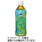 ゴールドパック　北アルプス茶屋の緑茶　５００ｍＬ　ペットボトル　１セット（４８本：２４本×２ケース）　（お取寄せ品）
