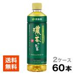 ショッピングボトル お茶　ペットボトル　おーいお茶　濃い茶　４６０ｍｌ　２ケース（６０本）　伊藤園