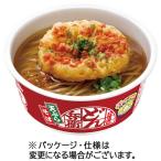 日清食品　日清のどん兵衛　天ぷらそば［西］　１００ｇ　１ケース（１２食）