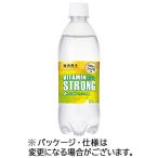 伊藤園　強炭酸水　ビタミン　ストロング　シリカ含有　５００ｍｌ　ペットボトル　１セット（４８本：２４本×２ケース） （お取寄せ品）