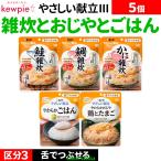 5個介護食セット介護食主食雑炊おじ...