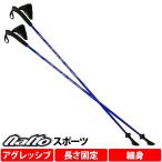 ノルディックウォーキング ポール ナイト工芸 スポーツ 2本ペア NWP-1140812 左右1セット ストックウォーク sp-naito