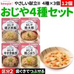 12個 介護 食事 まとめ買い 主食 ご