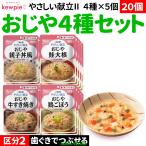 20個 介護セット 食事 まとめ買い 主