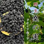 桑の実（乾燥）100g ドライフルーツ マルベリー 野生 たんぽぽ本舗