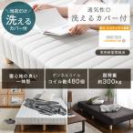 アイテムID:5857302の画像2枚目