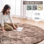 15日P14%〜 ラグ カーペット ラグマット シャギーラグ 200 円形 洗える おしゃれ くすみカラー 北欧 オールシーズン 夏 冬 抗菌 防臭 防ダニ 低ホル 防音 滑り