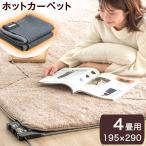 ホットカーペット 4畳 本体 電気カーペット 195×290 長方形 床暖房 暖房器具 ダニ退治 自動切タイマー カーペット マット ラグ 省エネ 冬 4畳用