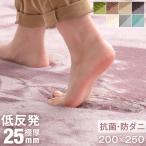 ラグ カーペット 厚手 低反発ラグ 極厚 3畳 200×250 低反発 ラグマット おしゃれ 北欧 ホットカーペット対応 床暖房対応 オールシーズン