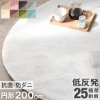 15日P14%〜 ラグ カーペット ラグマット 厚手 200×200 リビングマット 低反発 円形 防ダニ ホットカーペット対応 床暖房 防音 絨毯 シンプル 滑り止め付