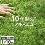 5日P14%〜 人工芝 ロール 1m×10m 芝丈25mm U字 ピン 24本セット diy 10年耐久 高密度 リアル人工芝 水はけ 高耐久 庭 ベランダ 屋上 テラス バルコニー おしゃ