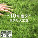 人工芝 ロール 2m×10m 芝丈25mm U字 ピン 48本セット 10年耐久 高密度52万本/ｍ2 リアル人工芝 高耐久 庭 ベランダ 屋上 テラス 超大型商品