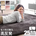 ラグ カーペット 厚手 高反発ラグ 極厚 3畳 200×250 高反発 ラグマット おしゃれ 北欧 ホットカーペット カバー 床暖房対応 オールシーズン 絨毯