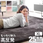 ショッピングパイル ラグ カーペット 厚手 高反発ラグ 極厚 200×300 高反発 ラグマット おしゃれ 北欧 ホットカーペット カバー 床暖房対応 オールシーズン 絨毯