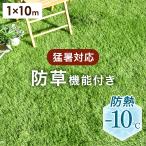人工芝 ロール 1m×10m diy 芝丈35mm 人工芝マット 高密度 高耐久 屋外 防熱 u字ピン 24本 リアル人工芝 ベランダ 庭 雑草対策
