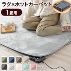 本日+4% ホットカーペット 洗える ラグ セット 1畳 90×180 2点セット 洗える カーペット ホットカーペットカバー ラグマット 正方形 洗濯 丸洗い おしゃれ