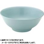 カンダ KND 387172 メタル丼 厚口タイプ ステンレスつや消し仕様 KND387172