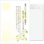  я производства 10 листов . средний открытка марка нет задняя поверхность печать завершено mail рамка-оправа серый No.K810