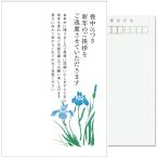  я производства 10 листов . средний открытка марка нет задняя поверхность печать завершено mail рамка-оправа серый No.K815