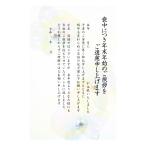ショッピング年賀状 喪中はがき 10枚 手書き記入用 年賀状じまい文章入 はがき 10枚入（aurora）文章印刷済み 官製はがき（85円切手付き）