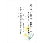 . производства 10 листов . средний открытка рукописный текст . запись модель 85 иен марка есть почтовая открытка задняя поверхность печать завершено K-2021-812