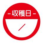 .. день наклейка (487)Green круг форма ( размер 40mi Lee 120 листов ) ( размер 30mi Lee 240 листов )