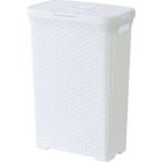 東谷 AZUMAYA  アミー ランドリーボックス W44.5×D26.5×H62cm ホワイト