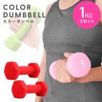 カラー ダンベル 1kg 筋トレ エクササイズ 宅トレ 筋トレ ウエイトトレーニング ダイエット 赤 レッド 2個セット