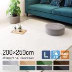 ラグ カーペット 洗える 約3畳 おしゃれ オールシーズン 200×250 抗菌 防ダニ ラグマット フランネル 滑り止め付 ホットカーペット 床暖房対応 絨毯 北欧